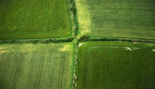 Choisir un terrain pour construire sa maison